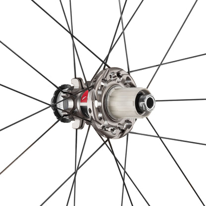 Speed 55 DB Wheelset